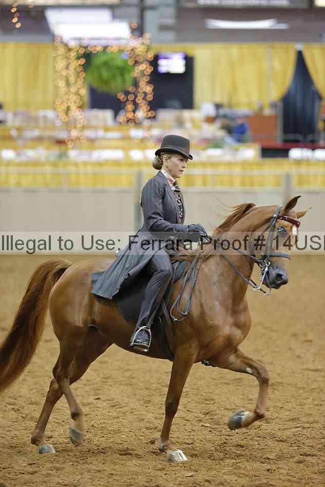 Proof 14usn_10705