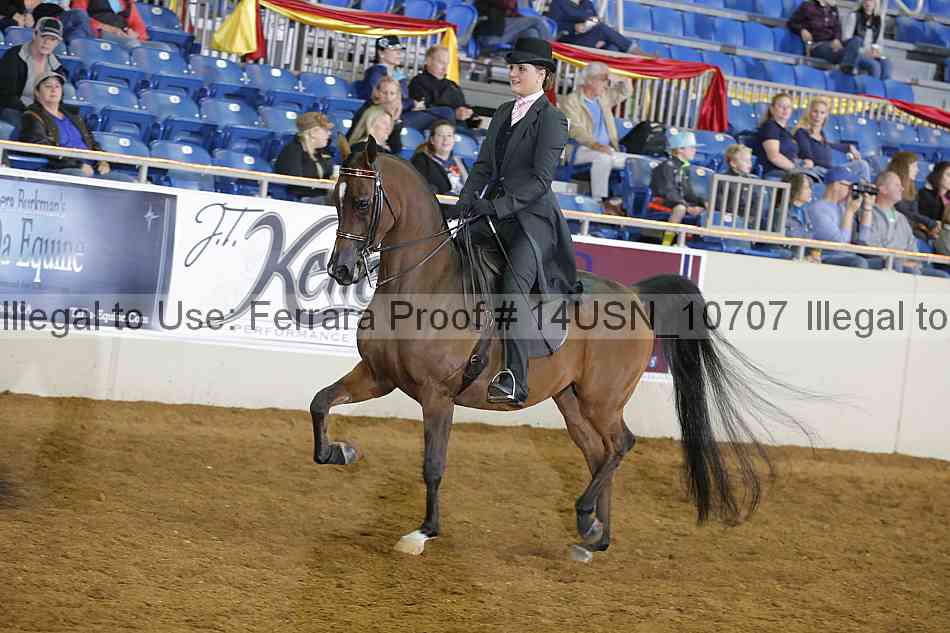 Proof 14usn_10707