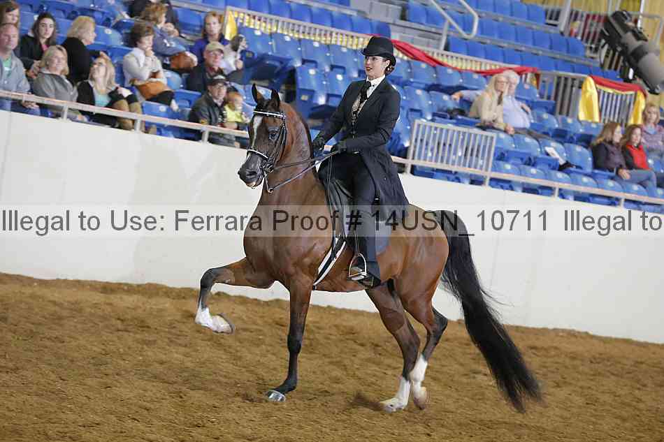Proof 14usn_10711