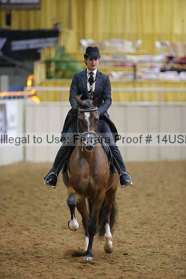 Proof 14usn_10724