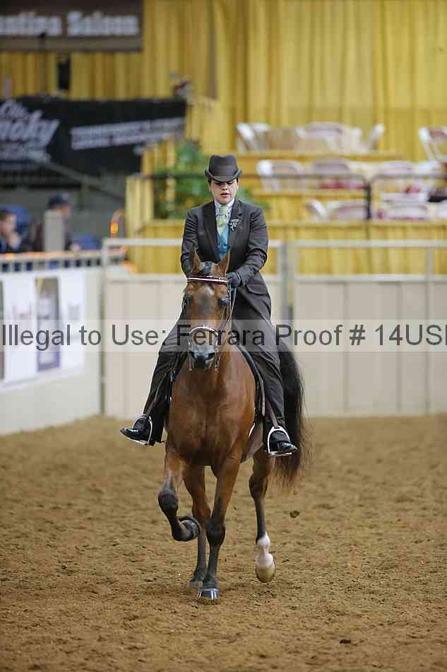 Proof 14usn_10727