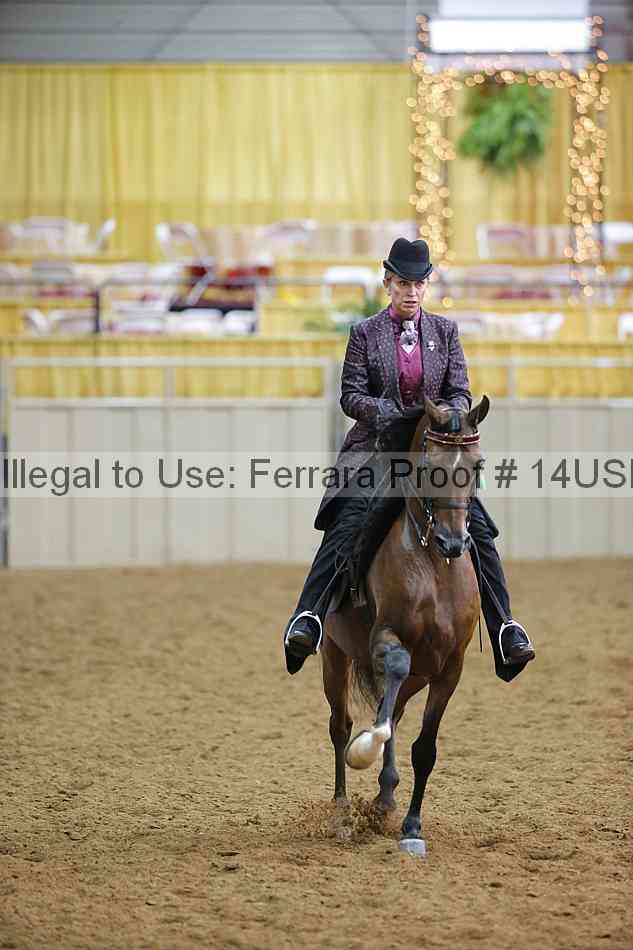 Proof 14usn_10742