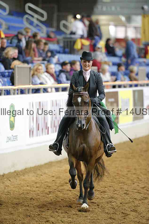 Proof 14usn_10756
