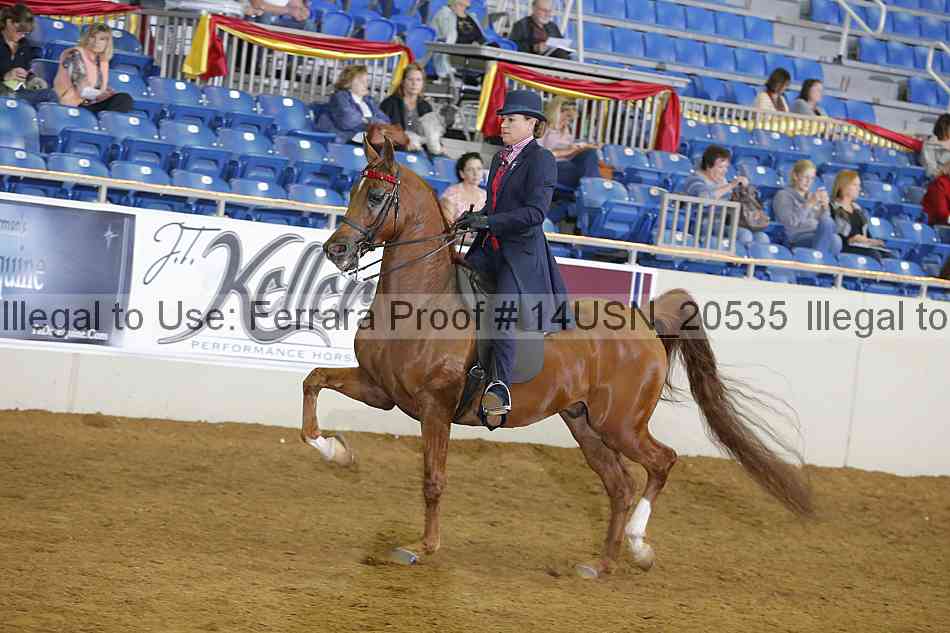 Proof 14usn_20535