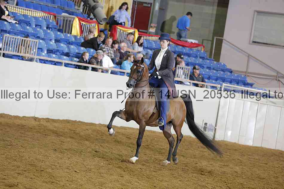 Proof 14usn_20536
