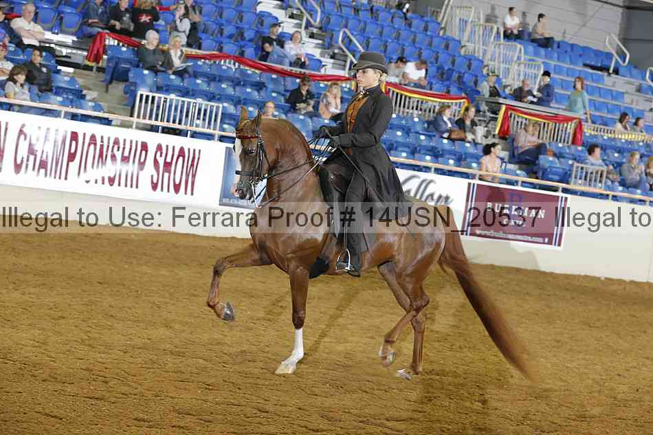 Proof 14usn_20537