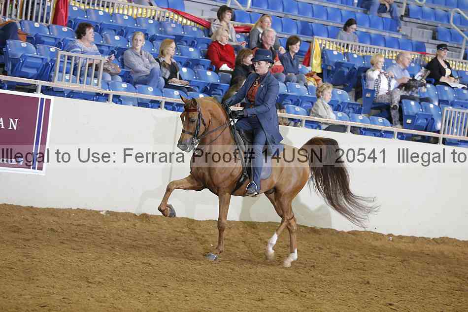 Proof 14usn_20541
