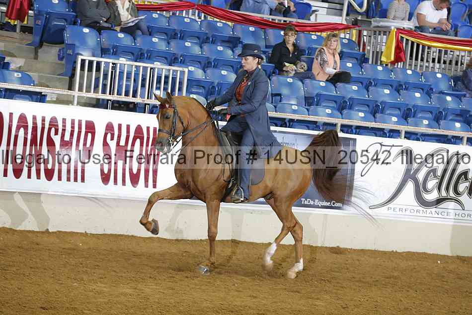 Proof 14usn_20542
