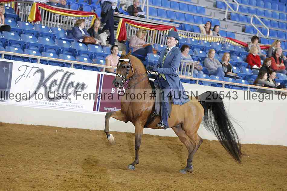 Proof 14usn_20543
