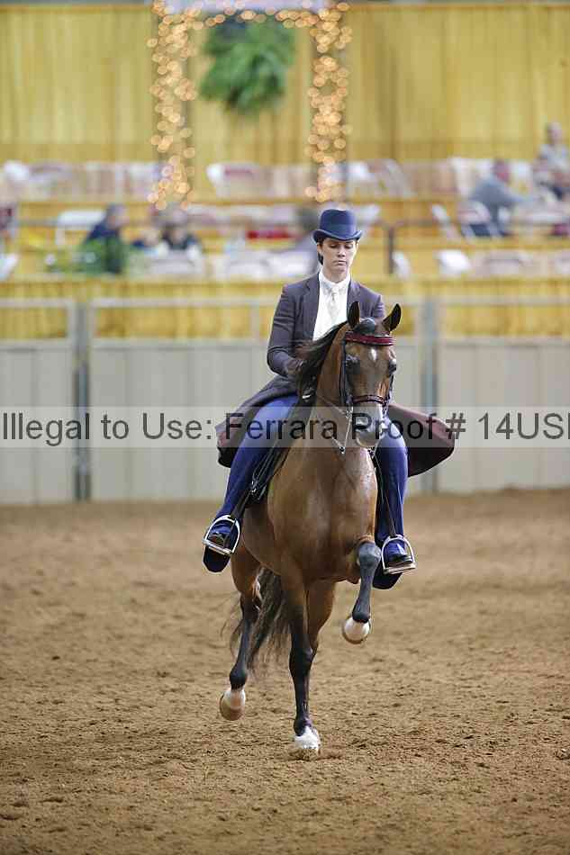 Proof 14usn_20544