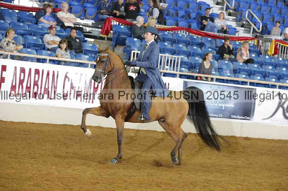 Proof 14usn_20545