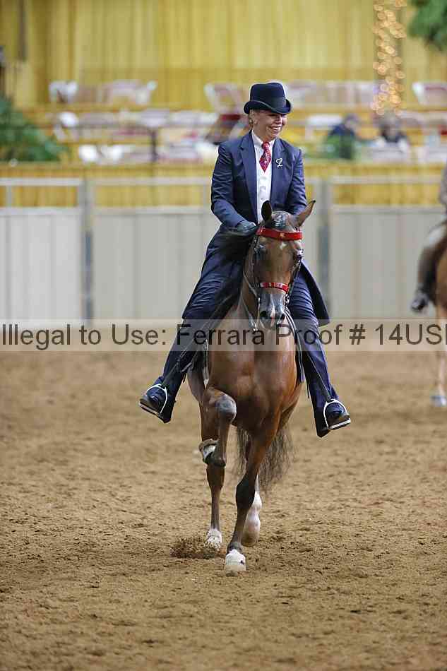 Proof 14usn_20546