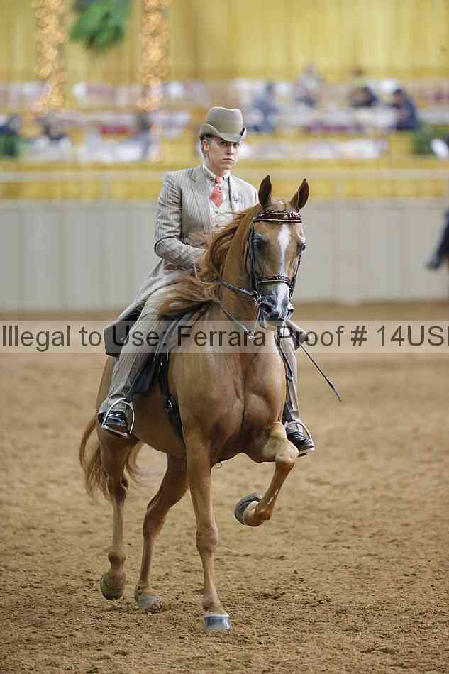 Proof 14usn_20548