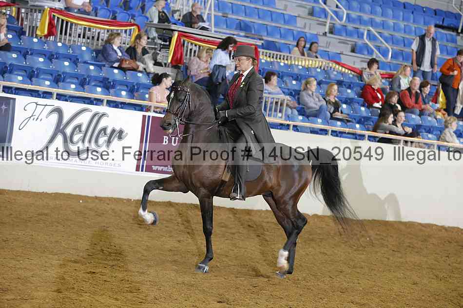 Proof 14usn_20549