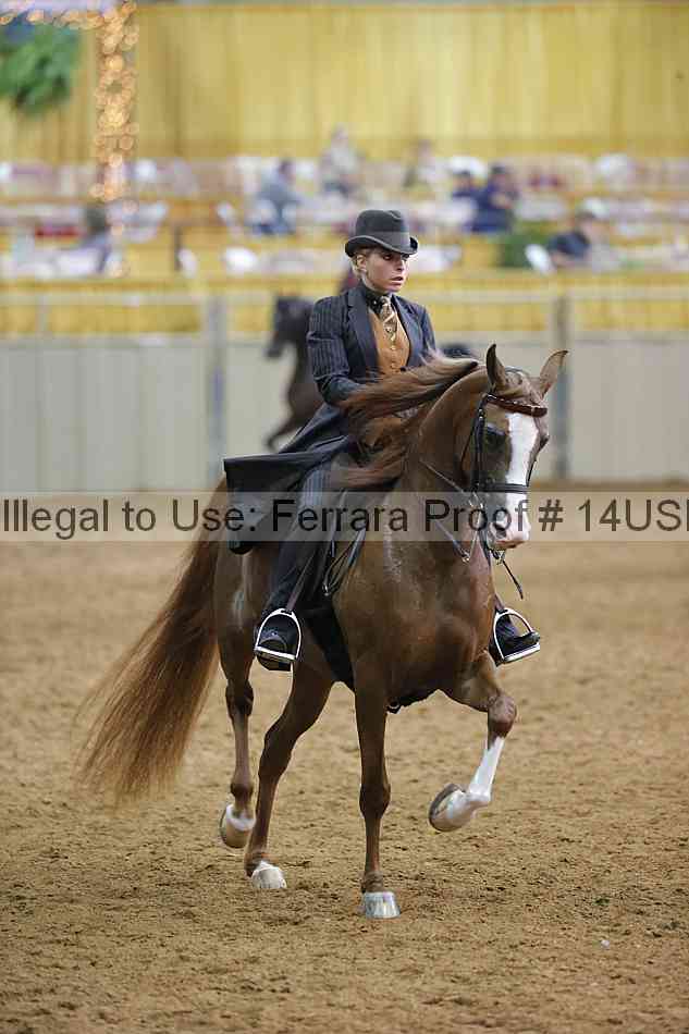 Proof 14usn_20552