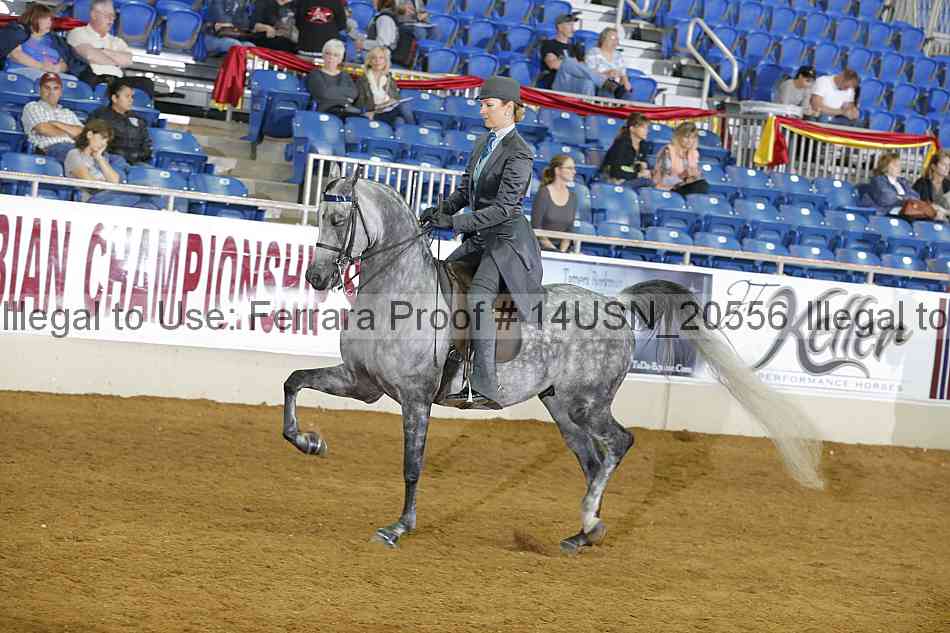 Proof 14usn_20556