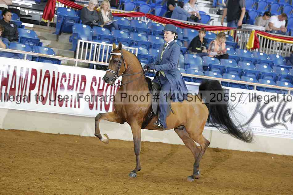 Proof 14usn_20557