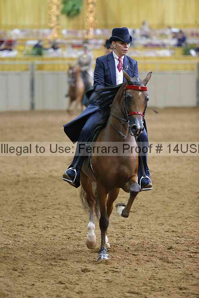 Proof 14usn_20558