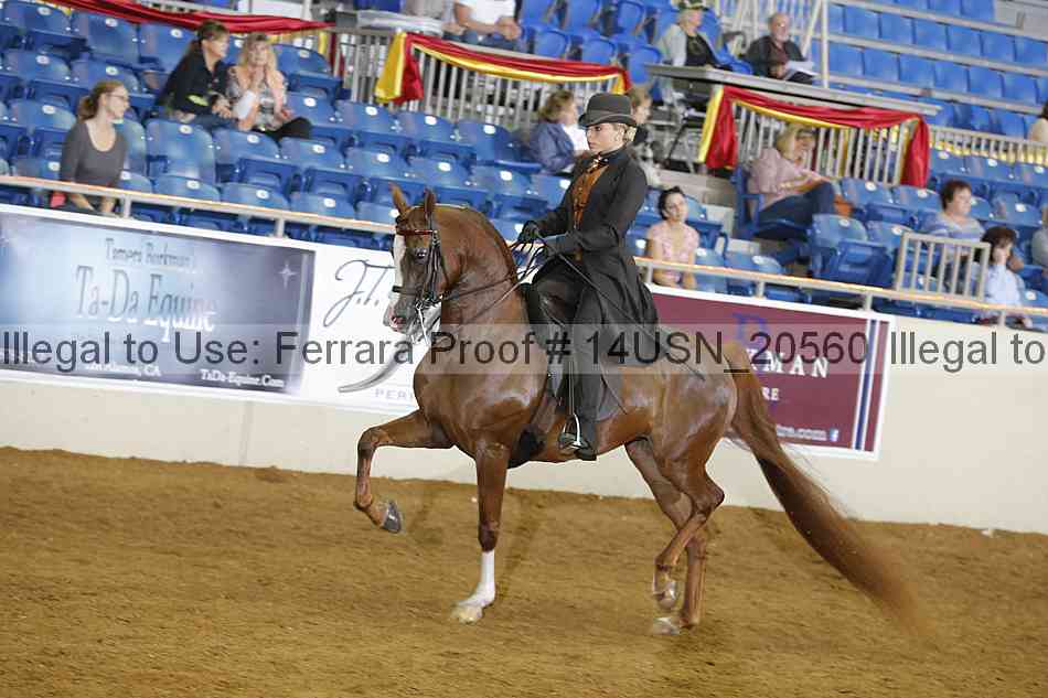 Proof 14usn_20560