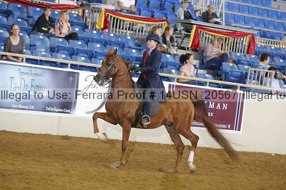 Proof 14usn_20567