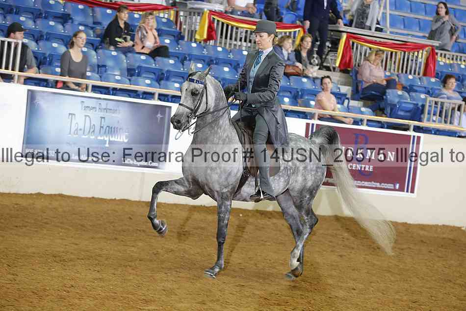 Proof 14usn_20575