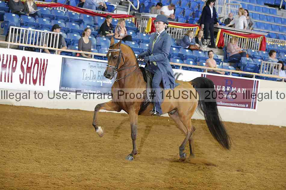 Proof 14usn_20576