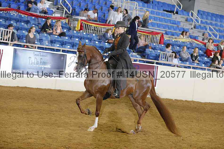 Proof 14usn_20577
