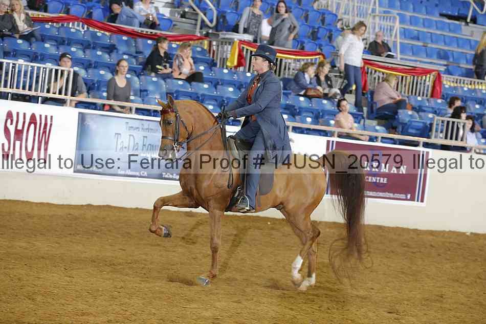 Proof 14usn_20579