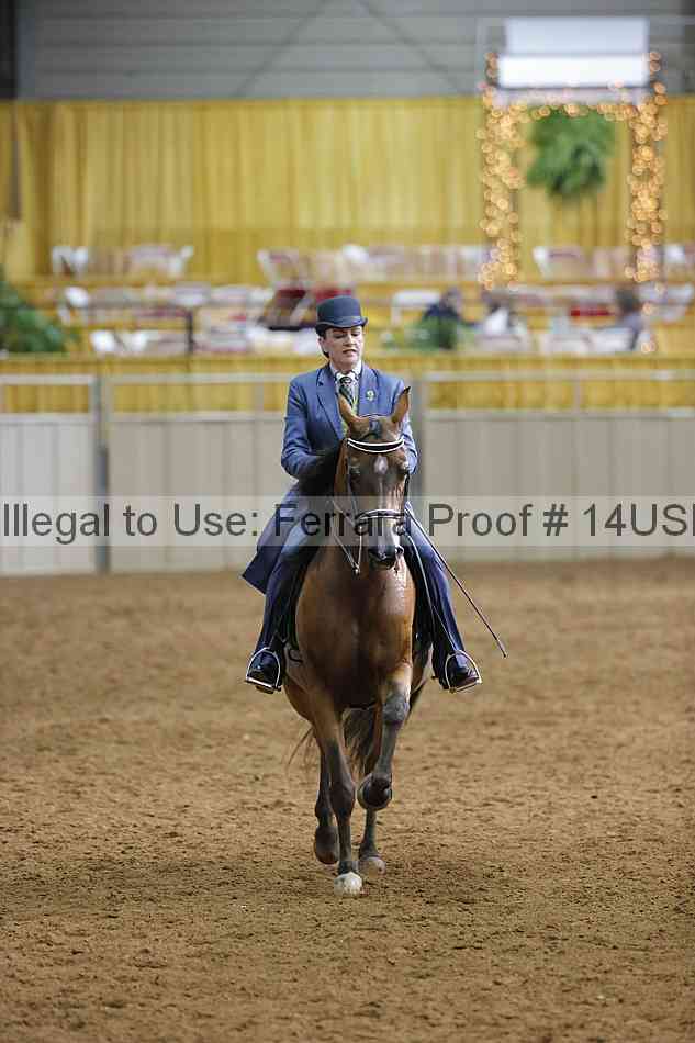 Proof 14usn_20581