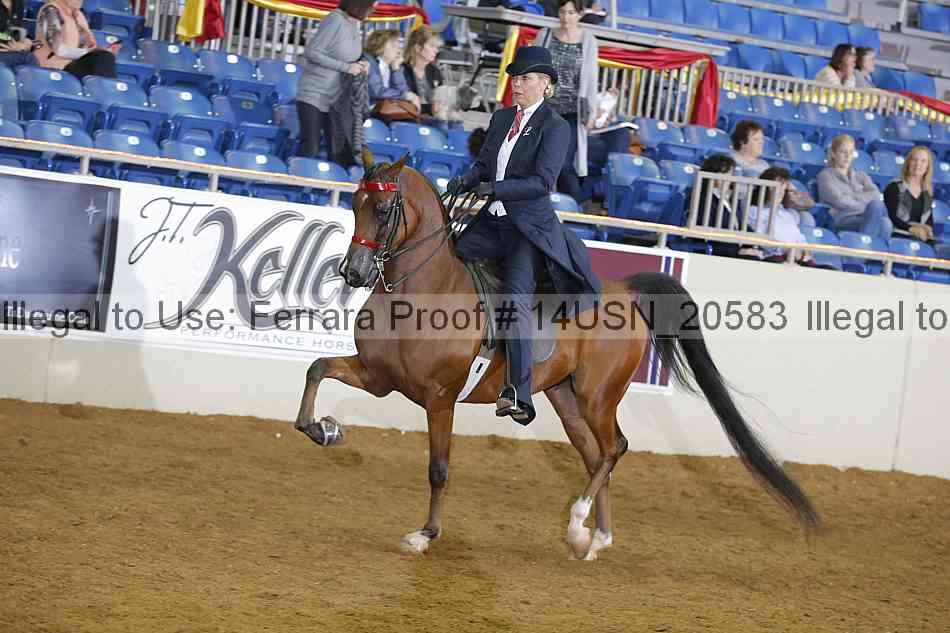 Proof 14usn_20583
