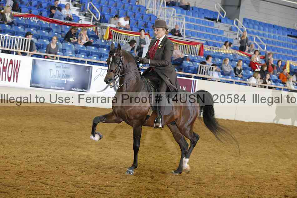 Proof 14usn_20584