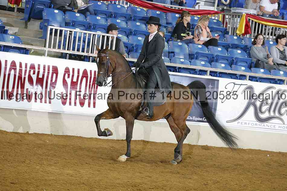 Proof 14usn_20585