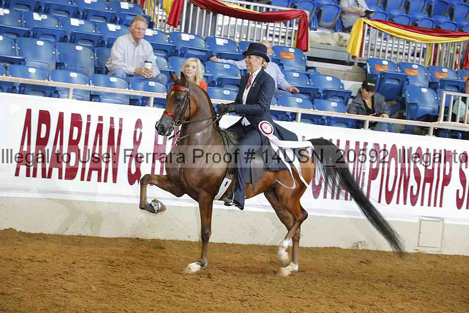 Proof 14usn_20592
