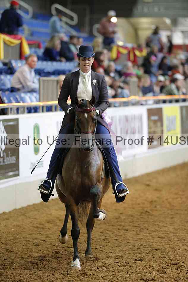 Proof 14usn_20595