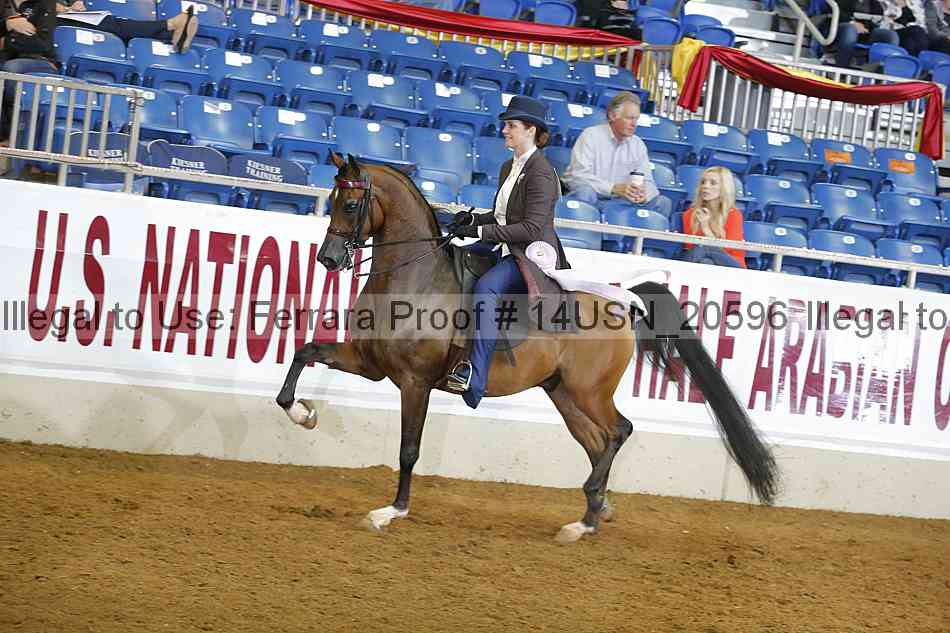 Proof 14usn_20596