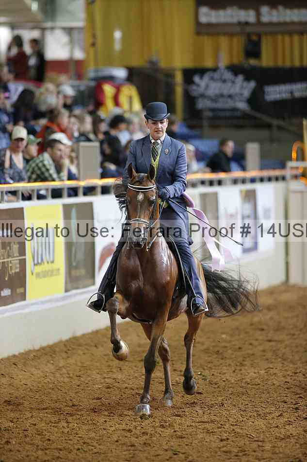 Proof 14usn_20606