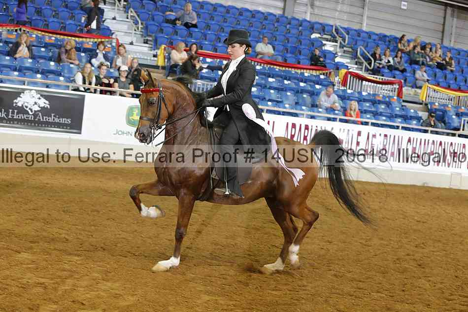 Proof 14usn_20618