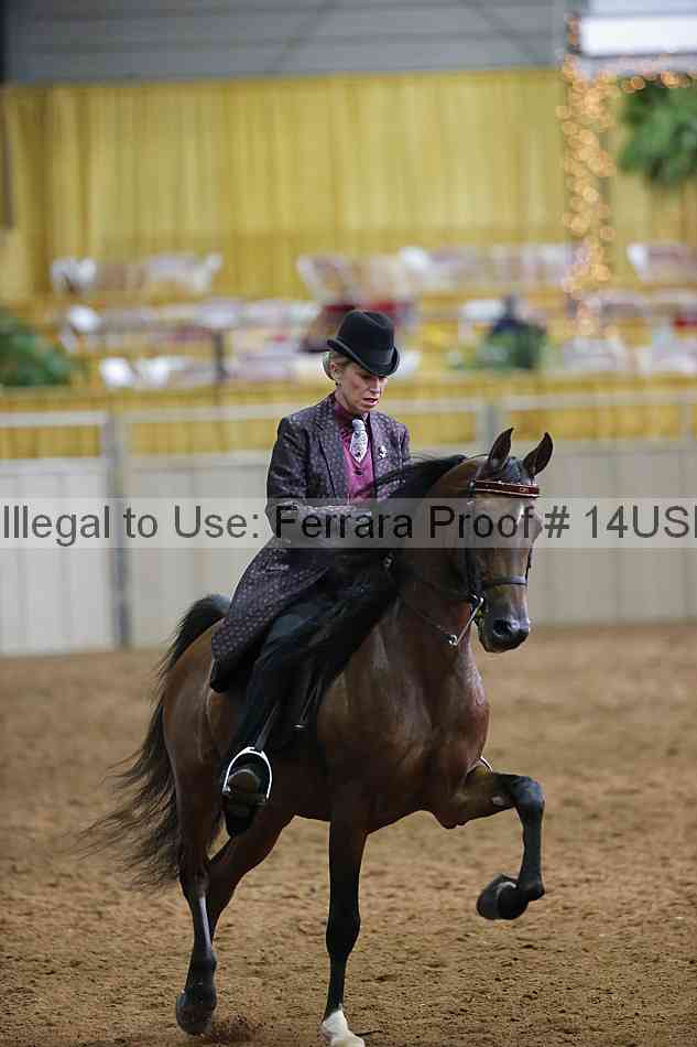 Proof 14usn_20626