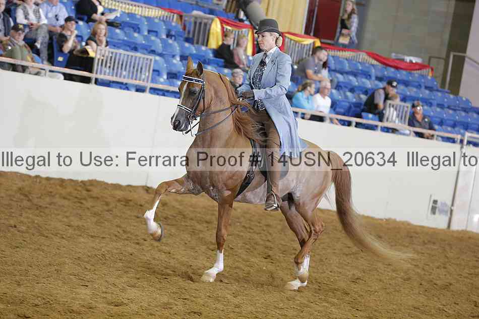 Proof 14usn_20634