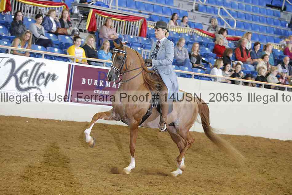 Proof 14usn_20635