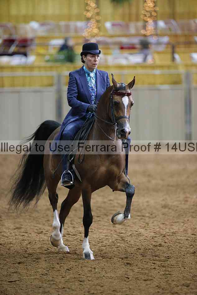 Proof 14usn_20636