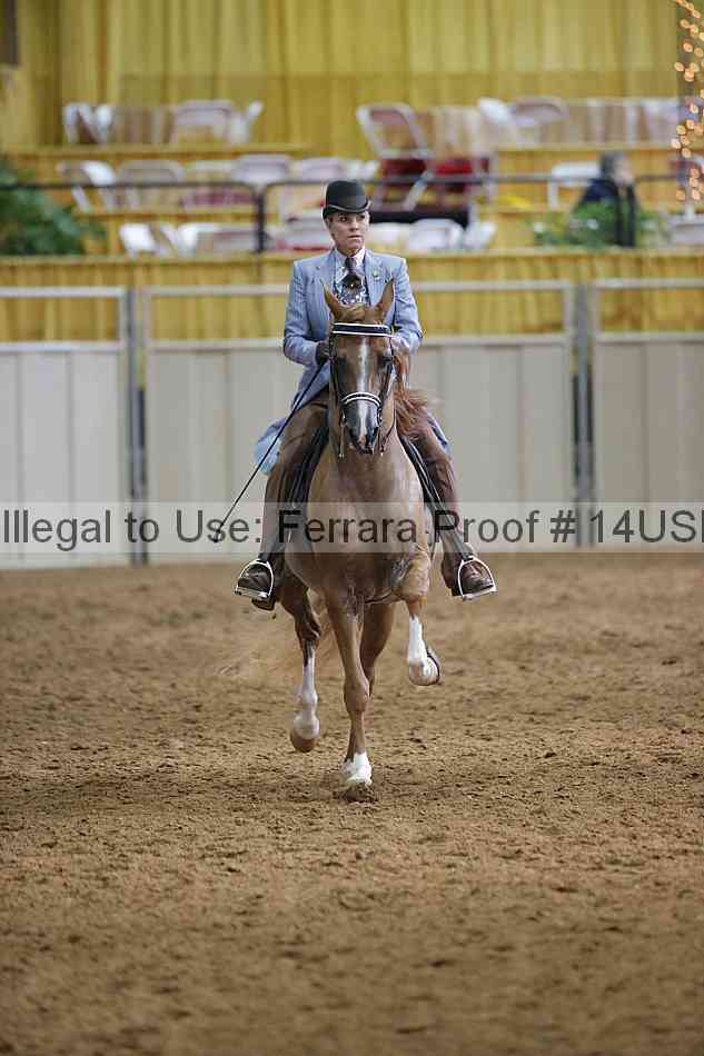 Proof 14usn_20638