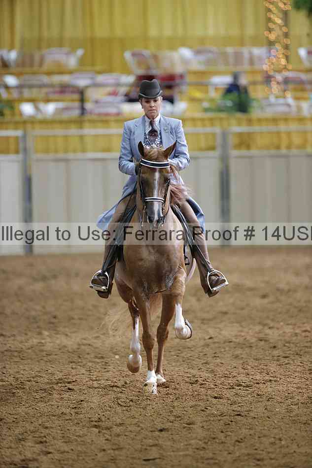 Proof 14usn_20640