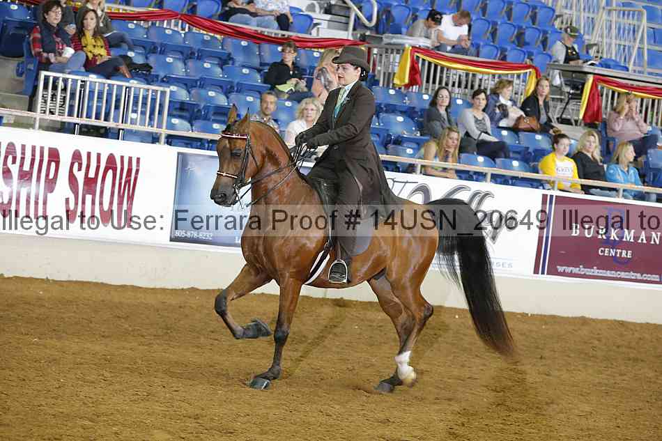 Proof 14usn_20649