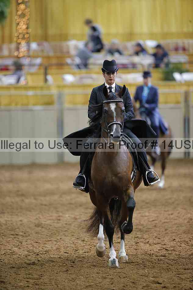 Proof 14usn_20650