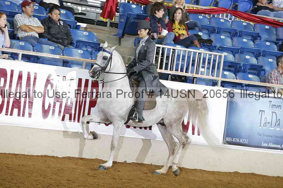 Proof 14usn_20656