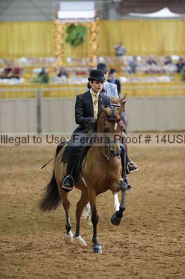 Proof 14usn_20657