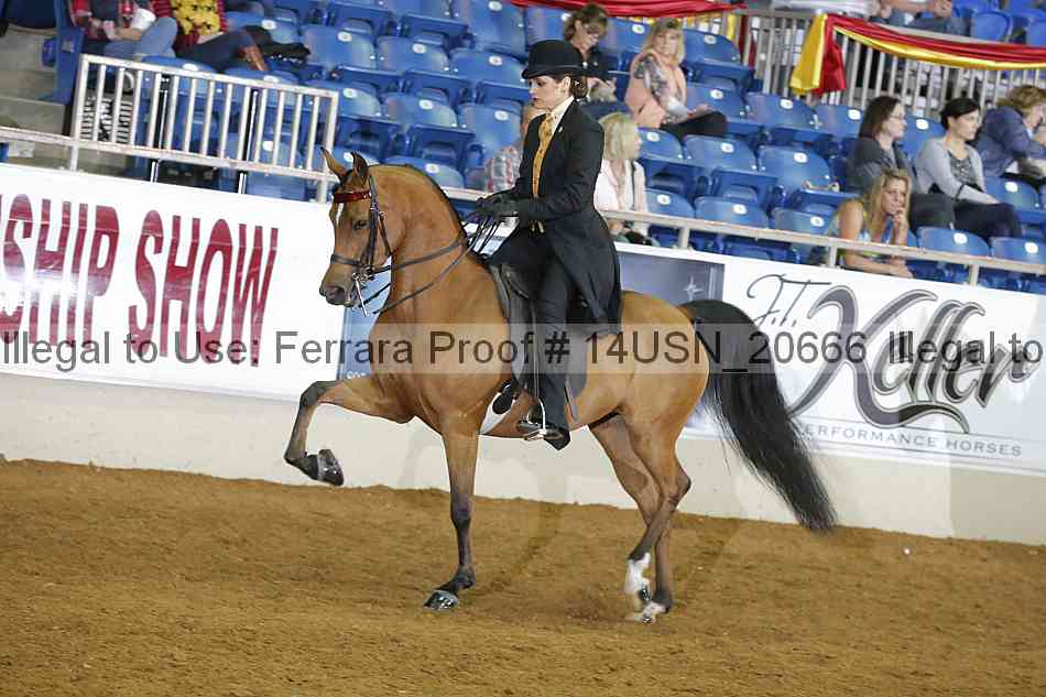 Proof 14usn_20666
