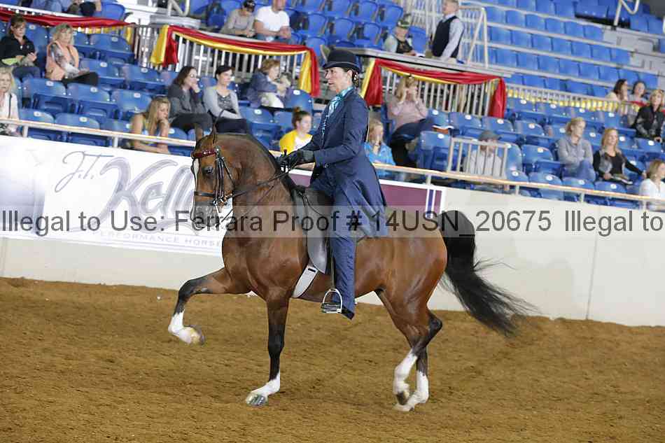 Proof 14usn_20675