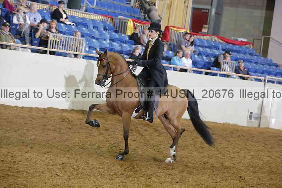 Proof 14usn_20676